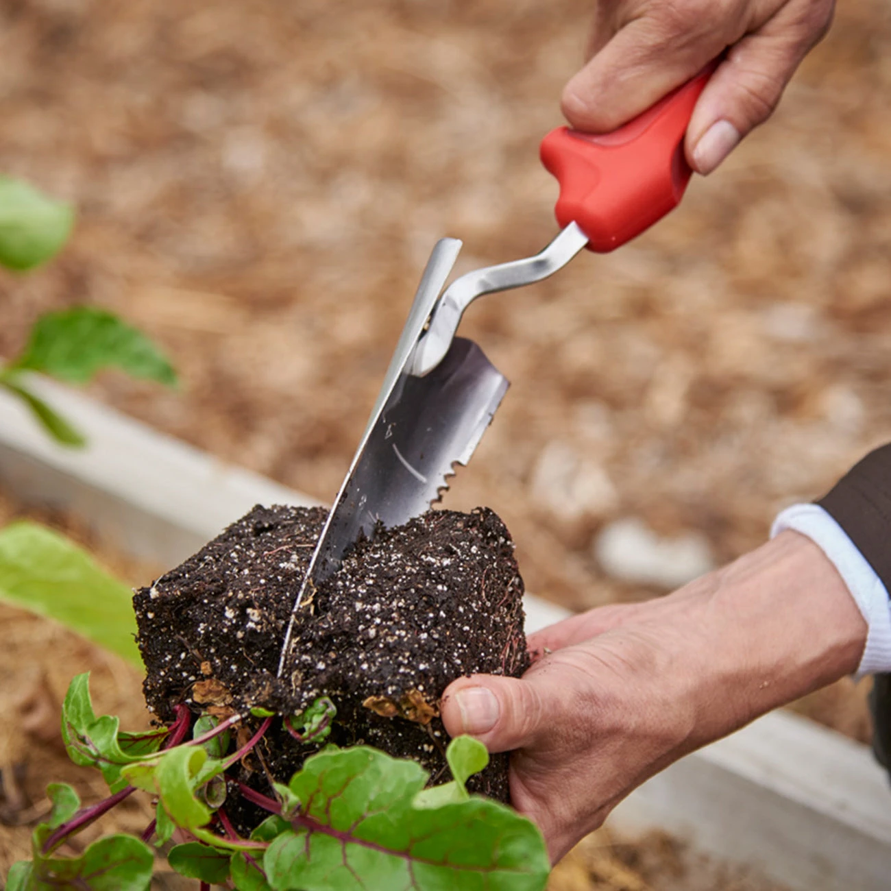 Corona ComfortGEL Transplanter 2 Corona ComfortGEL Transplanter - Image 2