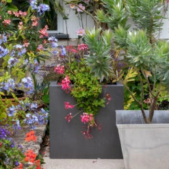 Container Root And Transplanting Knife - RHS-Endorsed 7 Container Root And Transplanting Knife - RHS-Endorsed -Household Tools Store GCT KNIFE burgon and ball container root and transplanting knife 02