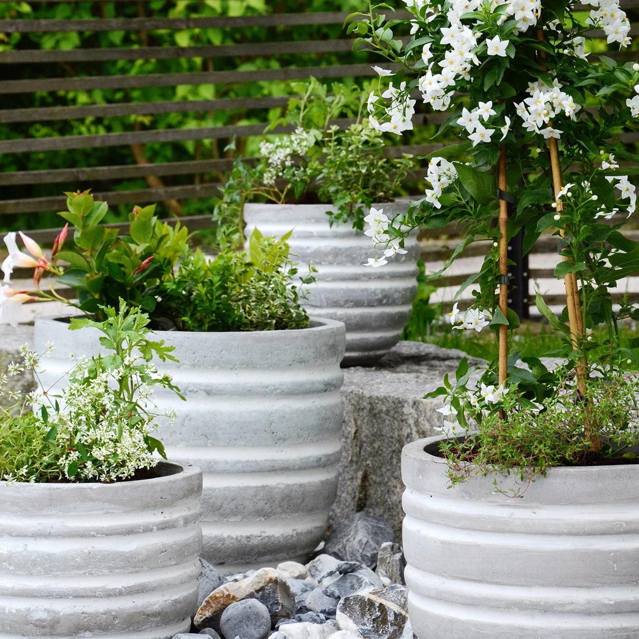 Container Root And Transplanting Knife - RHS-Endorsed 3 Container Root And Transplanting Knife - RHS-Endorsed - Image 3