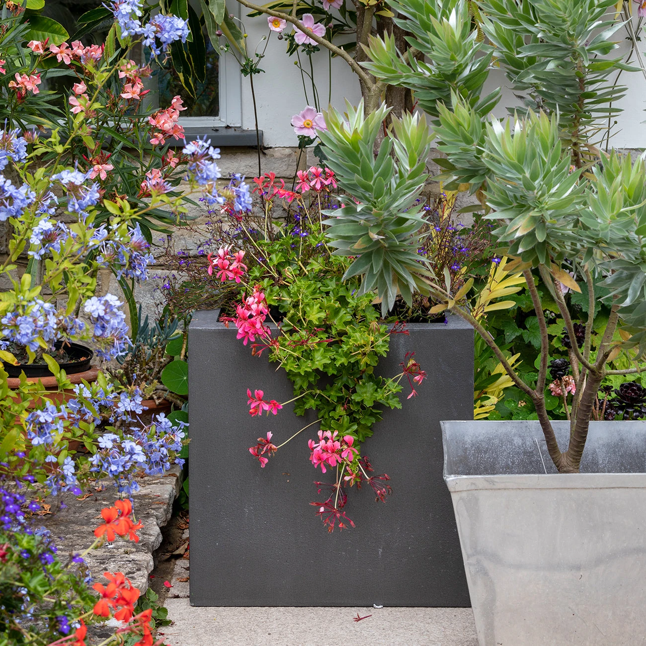 Container Weeder - RHS-Endorsed 3 Container Weeder - RHS-Endorsed - Image 3