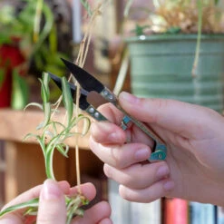 Mini Snips -Household Tools Store GES MINISNIP Burgon and Ball Mini Snips 01a