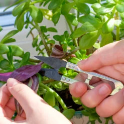 Mini Snips -Household Tools Store GES MINISNIP Burgon and Ball Mini Snips 02b