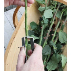 Thorn Stripper 6 Thorn Stripper -Household Tools Store GES THORN burgon and ball thorn stripper 03 7575e27d 99b6 410c 96ca c8823aba6c89