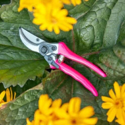 FloraBrite® Pink Bypass Secateurs 7 FloraBrite® Pink Bypass Secateurs -Household Tools Store GFB BSPINK burgon and ball fluorescent bypass secateur pink 03 c1f30d27 7ba7 44f0 9a97 bbd90394143d