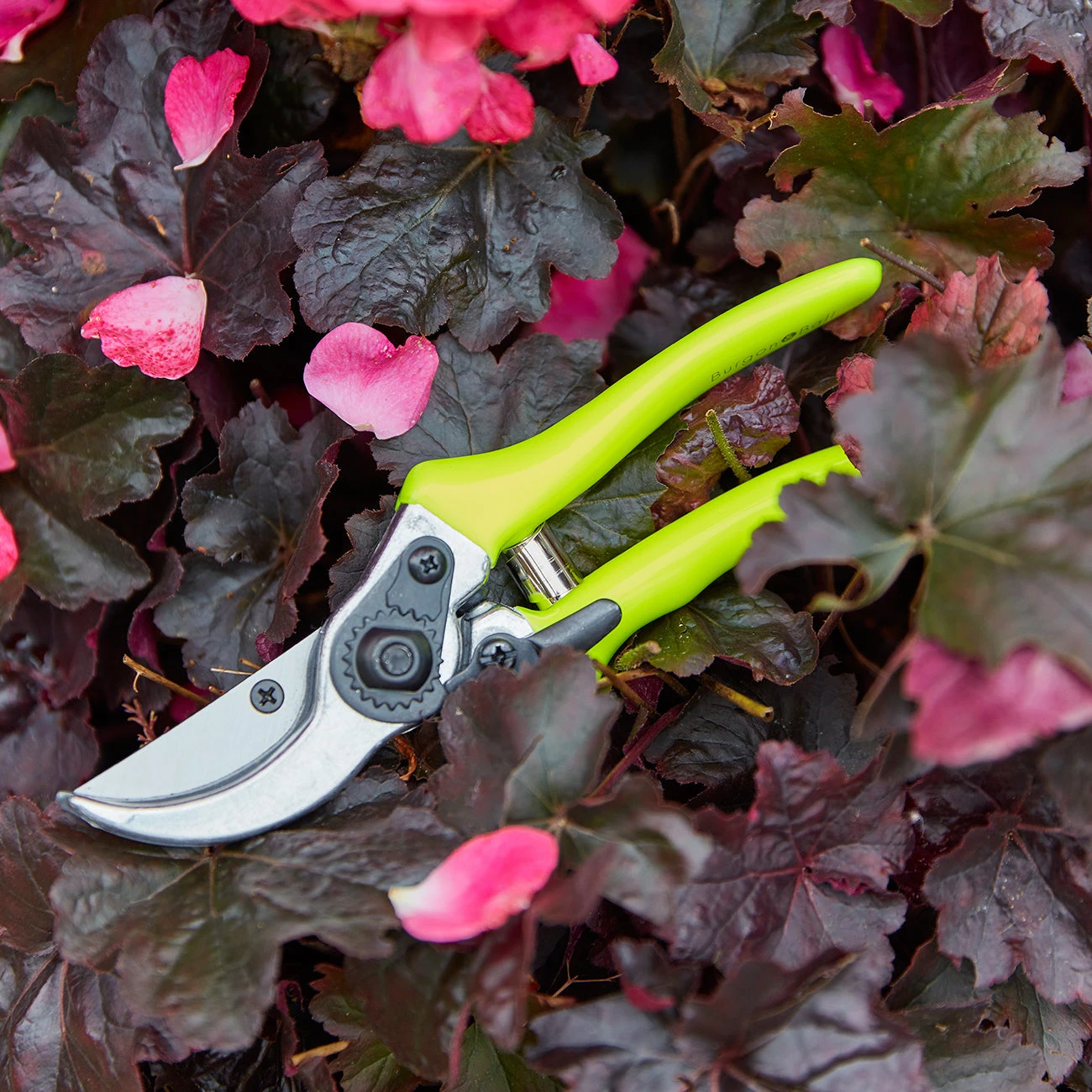 FloraBrite® Yellow Bypass Secateurs 3 FloraBrite® Yellow Bypass Secateurs - Image 3