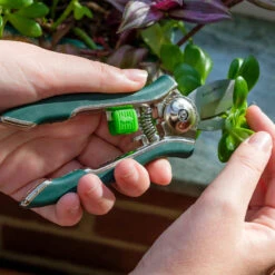 Houseplant Pruner -Household Tools Store GIG PRUNER Burgon and Ball Houseplant Pruner 01a