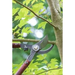 Lopper - National Trust -Household Tools Store GNT LOPP burgon and ball national trust lopper 03