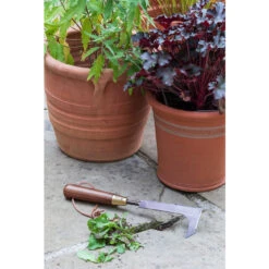 Patio Weeding Knife - National Trust -Household Tools Store GNT PATKN burgon and ball national trust patio weeding knife 02
