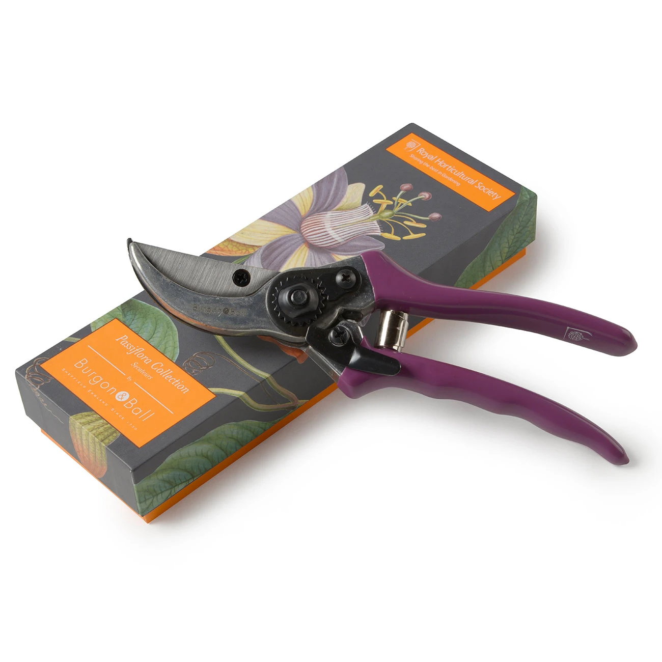 Passiflora Secateurs 1 Passiflora Secateurs