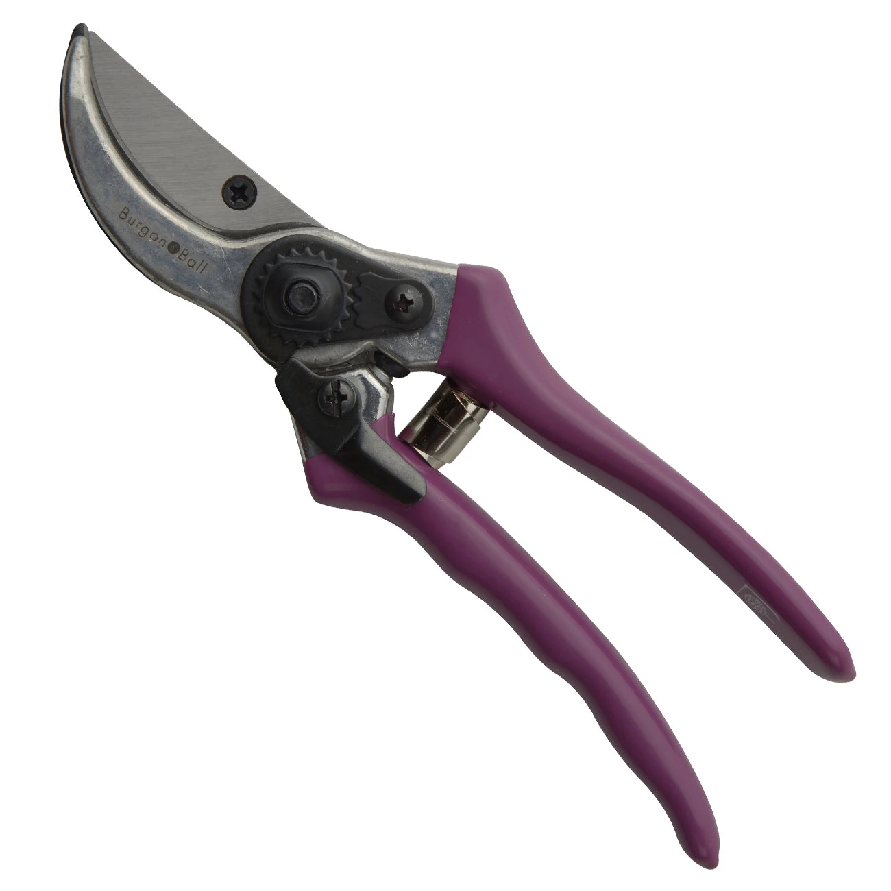 Passiflora Secateurs 2 Passiflora Secateurs - Image 2