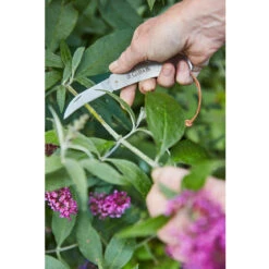 Sophie Conran Pocket Knife -Household Tools Store GSC KNIFE sophie conran for burgon and ball pocket knife 03