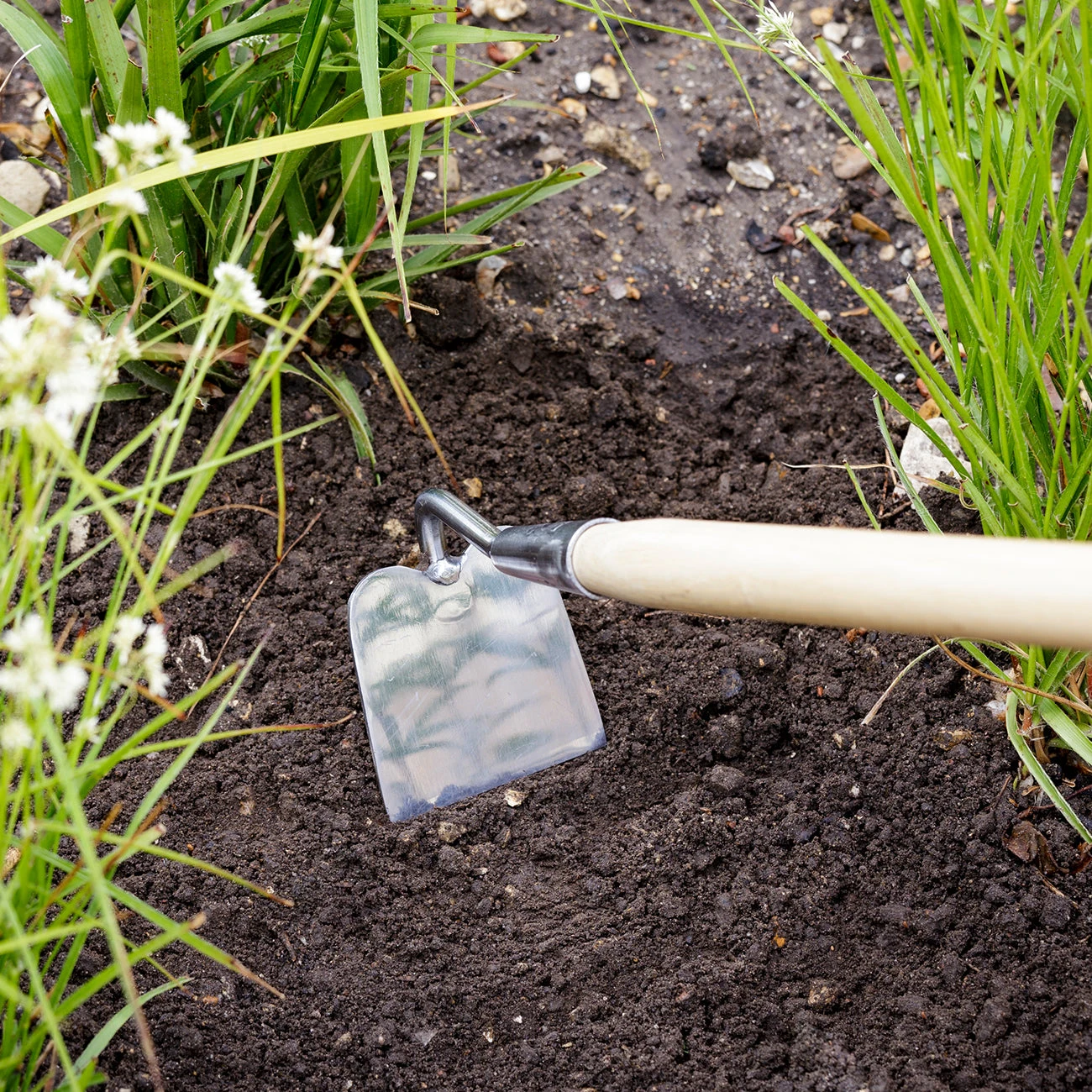 Draw Hoe - RHS Endorsed 3 Draw Hoe - RHS Endorsed - Image 3