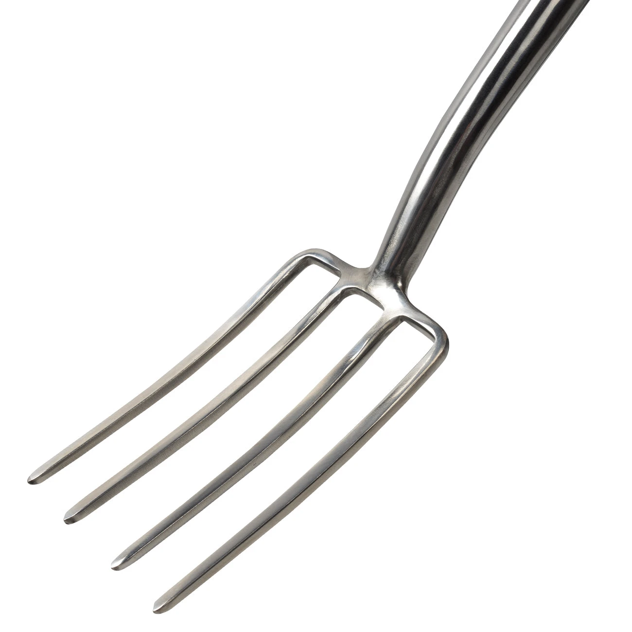 Border Fork - RHS Endorsed 2 Border Fork - RHS Endorsed - Image 2