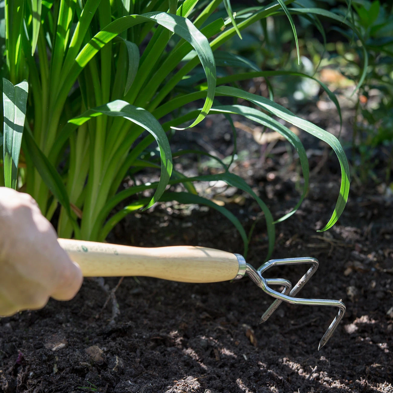 Mid Handled Claw Cultivator - RHS Endorsed 2 Mid Handled Claw Cultivator - RHS Endorsed - Image 2