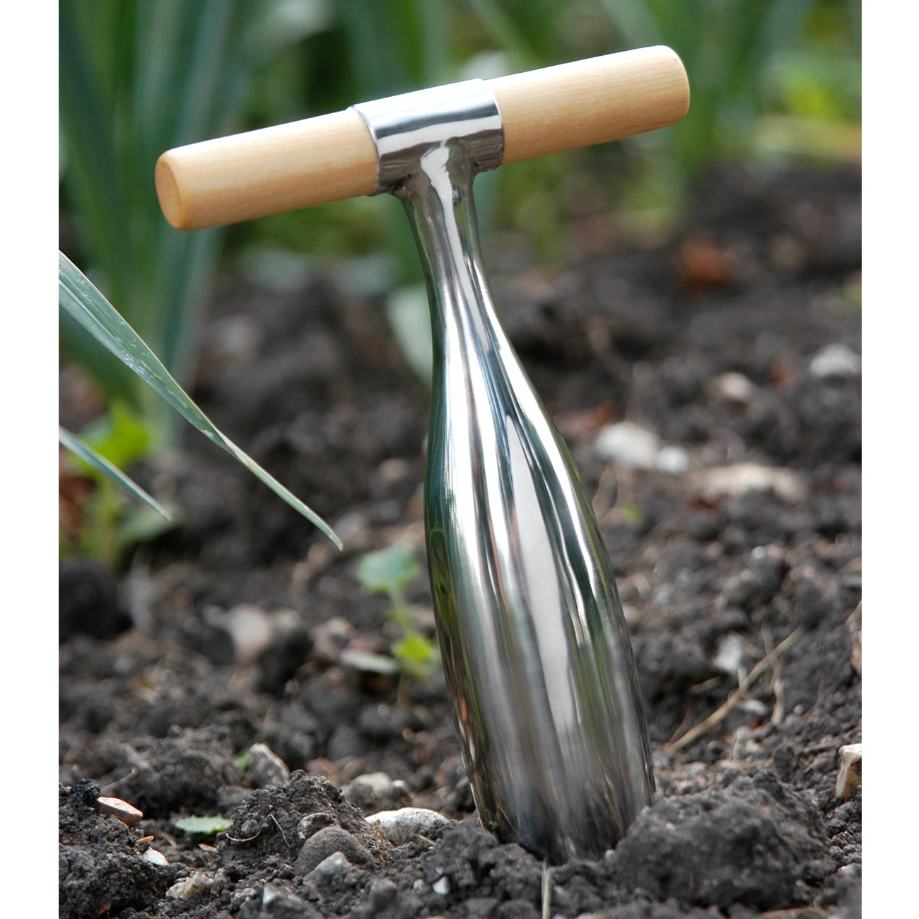 Dibber - RHS Endorsed 2 Dibber - RHS Endorsed - Image 2