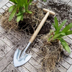 Perennial Spade - RHS Endorsed -Household Tools Store GTH SPSRHS burgon and ball rhs endorsed stainless perennial spade 02 e54ba48d 3602 44d7 a955 7a88e19700c9