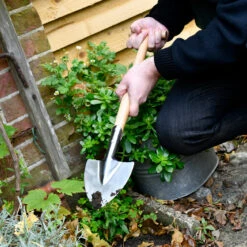 Perennial Spade - RHS Endorsed -Household Tools Store GTH SPSRHS burgon and ball rhs endorsed stainless perennial spade 05