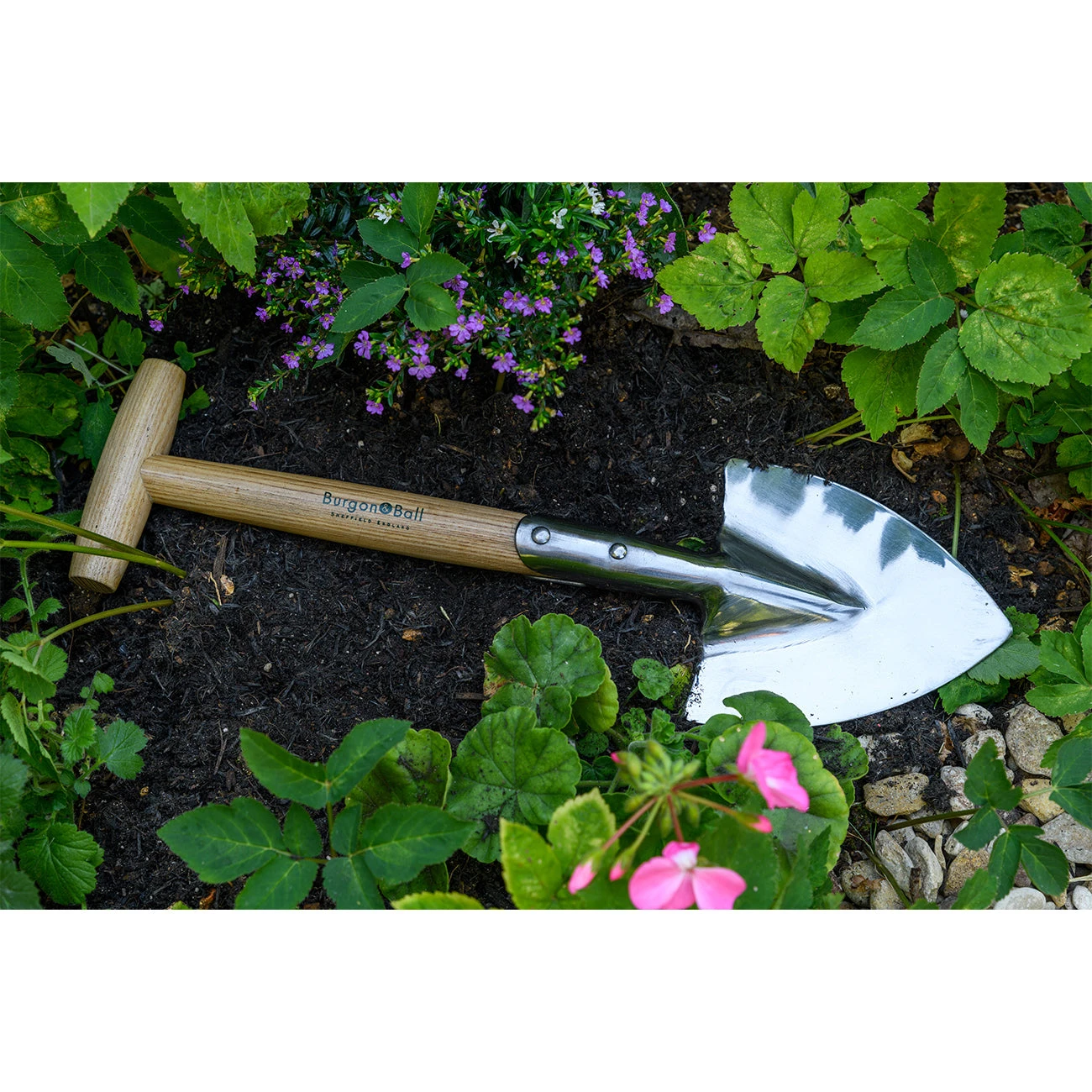 Short-Handled Perennial Spade - RHS Endorsed 6 Short-Handled Perennial Spade - RHS Endorsed - Image 6
