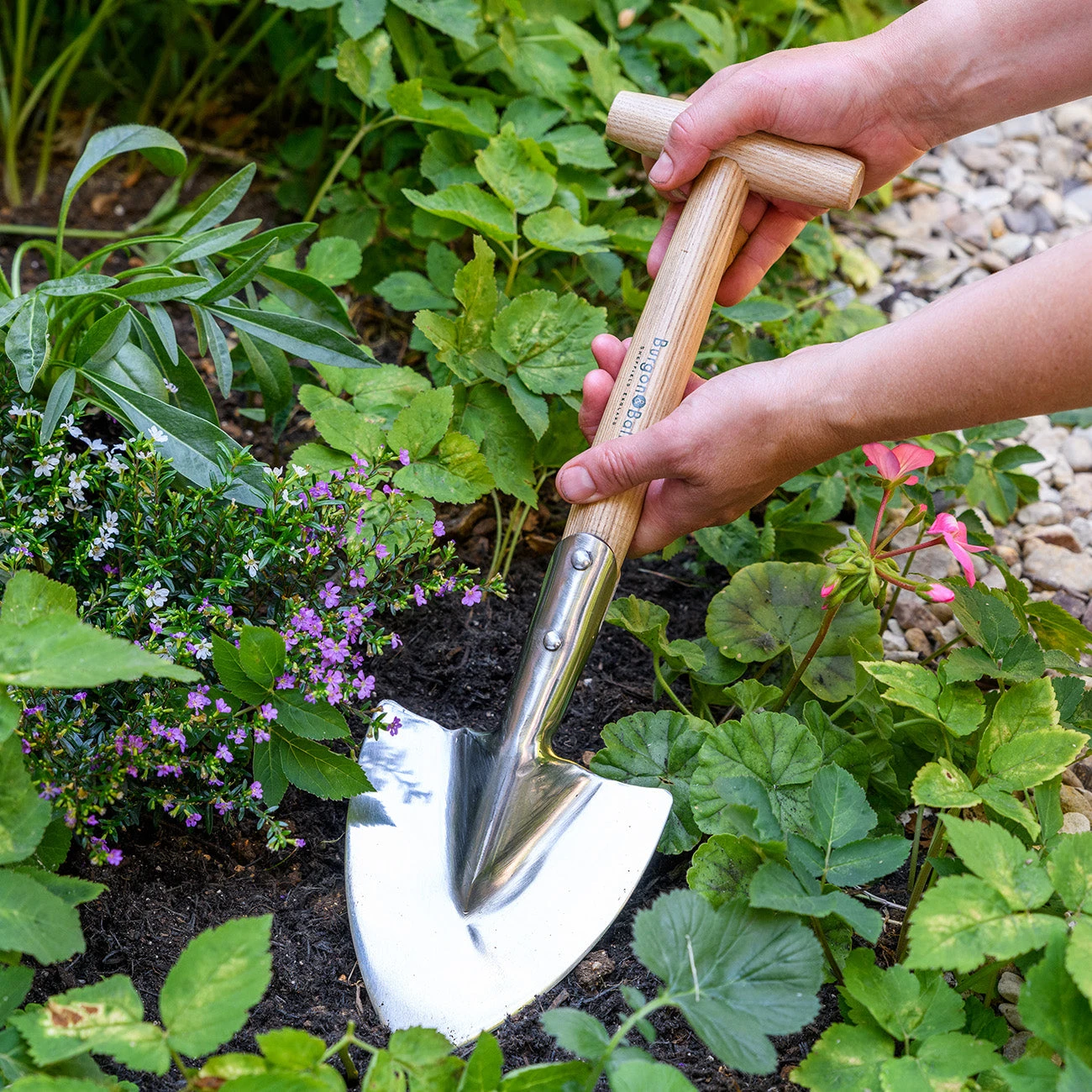 Short-Handled Perennial Spade - RHS Endorsed 7 Short-Handled Perennial Spade - RHS Endorsed - Image 7