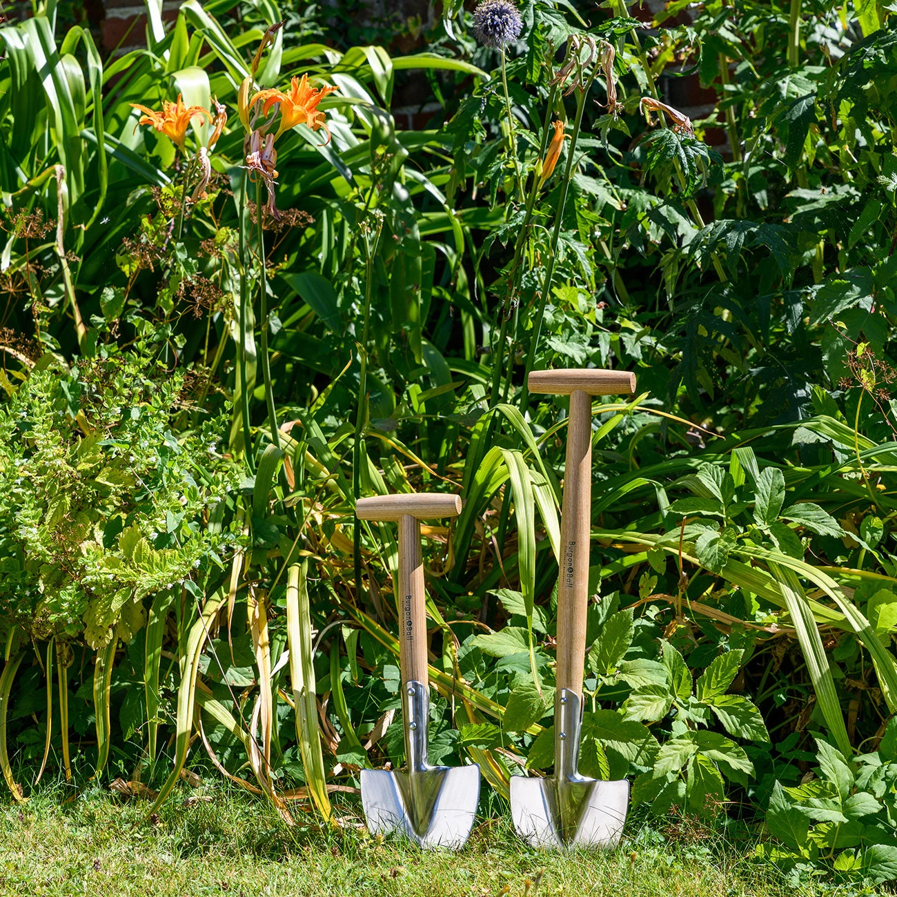 Short-Handled Perennial Spade - RHS Endorsed 8 Short-Handled Perennial Spade - RHS Endorsed - Image 8