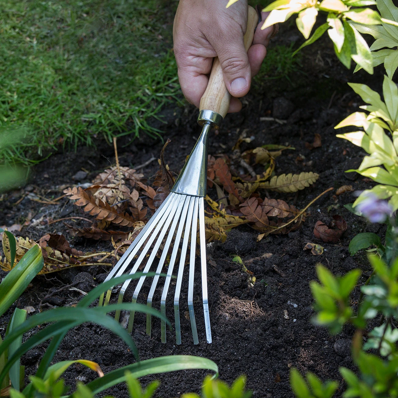 Shrub Rake - RHS Endorsed 2 Shrub Rake - RHS Endorsed - Image 2