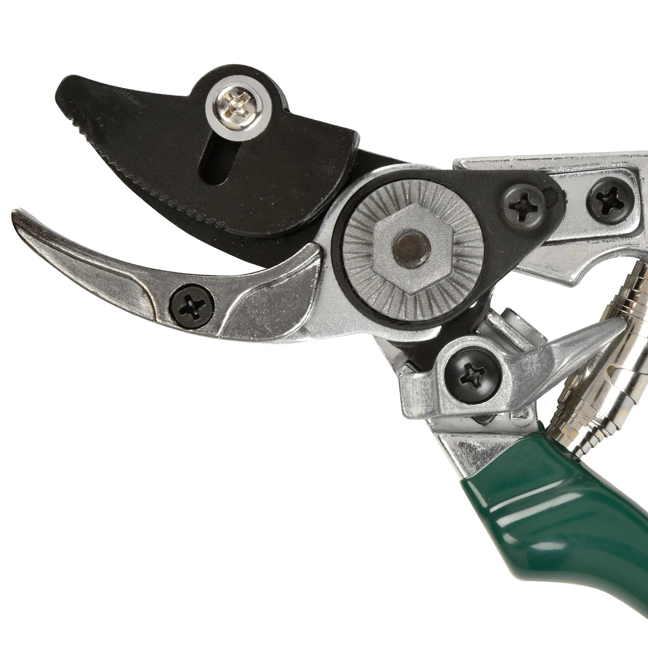 Rose Pruner - RHS Endorsed 4 Rose Pruner - RHS Endorsed - Image 4