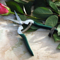 Flower & Fruit Snip - RHS Endorsed 6 Flower & Fruit Snip - RHS Endorsed -Household Tools Store GTO FFS burgon and ball flower and fruit snip 03 7caf2d92 bbe2 4f73 b4f0 3101ceab6e09