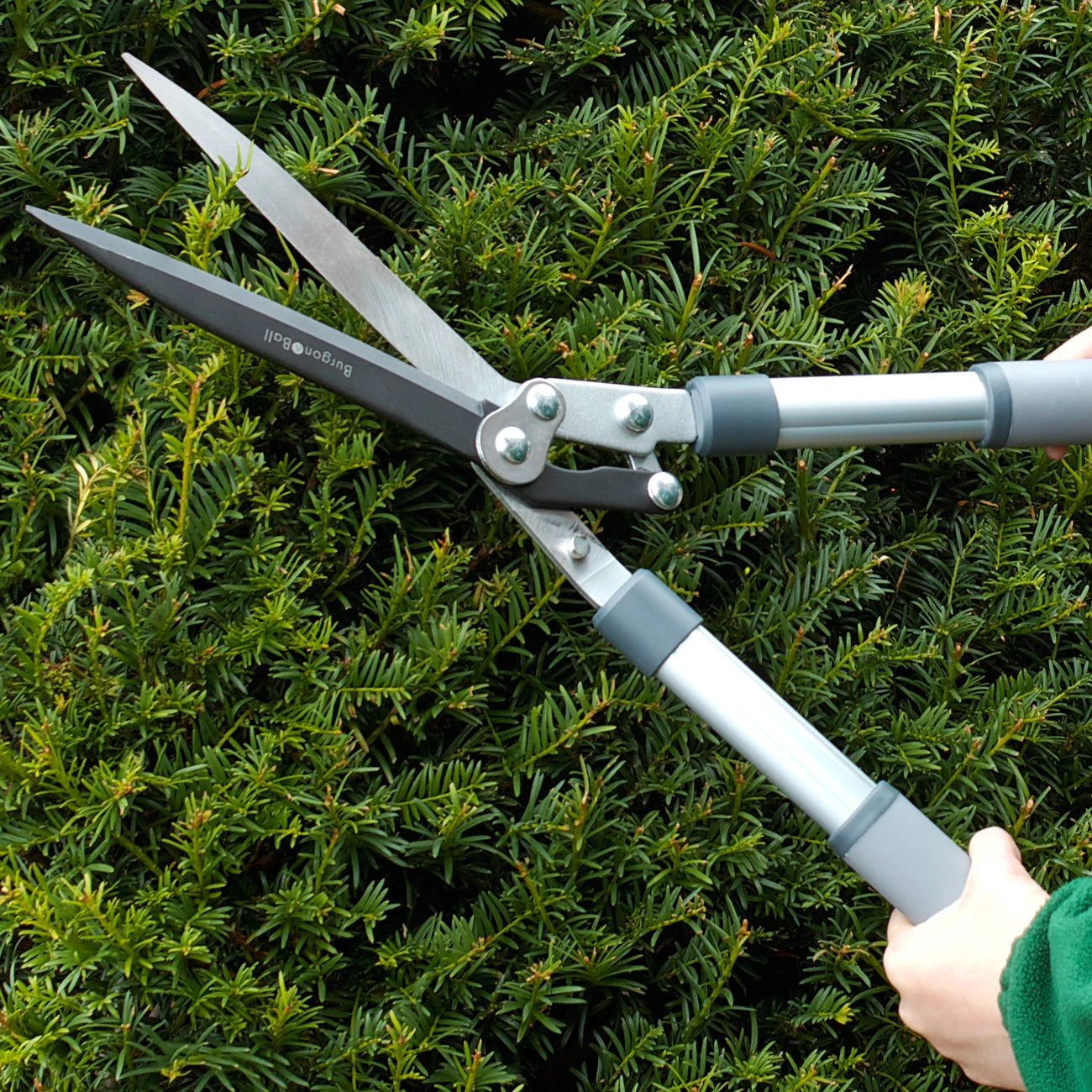 Hedge Shear - RHS Endorsed 3 Hedge Shear - RHS Endorsed - Image 3
