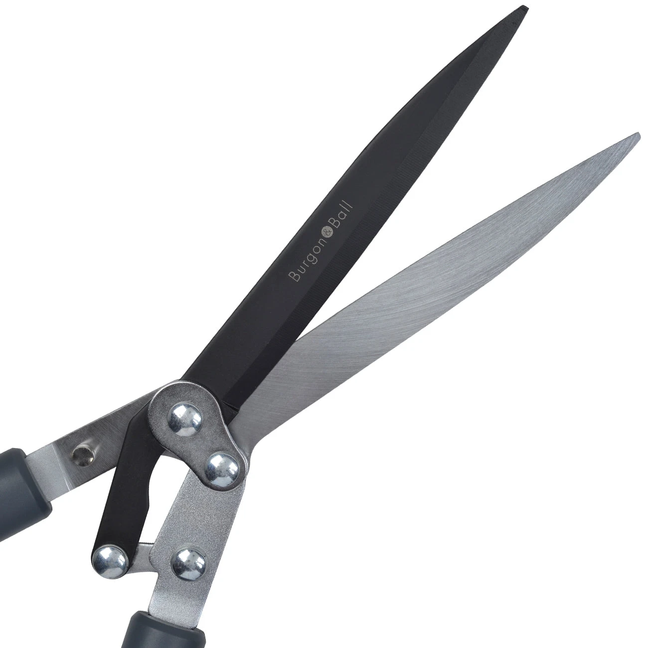 Hedge Shear - RHS Endorsed 5 Hedge Shear - RHS Endorsed - Image 5