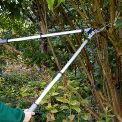 Telescopic Anvil Lopper - RHS Endorsed -Household Tools Store GTO LOPANVIL burgon and ball telescopic handled anvil lopper 03 dcdfb854 8d53 44ad b8dc 66d17ce6712c