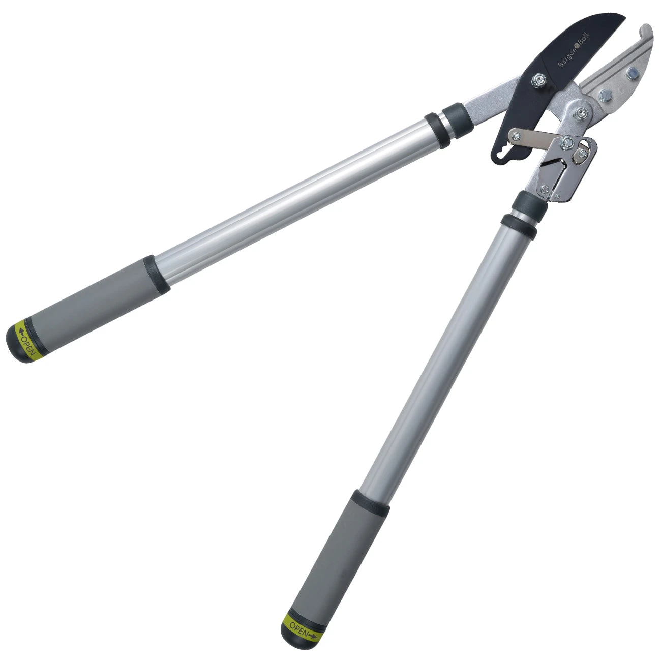 Telescopic Ratchet Lopper - RHS Endorsed 4 Telescopic Ratchet Lopper - RHS Endorsed - Image 4