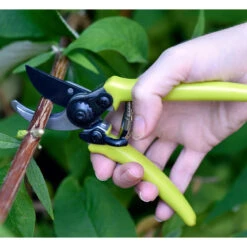 Micro Secateur - RHS Endorsed Green Handle -Household Tools Store GTO MP burgon and ball micro secateurs green 03 23b3bb23 f1bb 4aea af07 a76f28e517fa