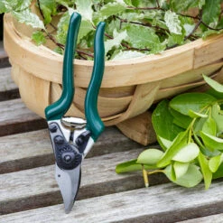 Professional Compact Bypass Secateur -Household Tools Store GTO PRL burgon and ball professional compact bypass secateurs 03 21ab967f 0723 47c8 8895 8b47601afbdb