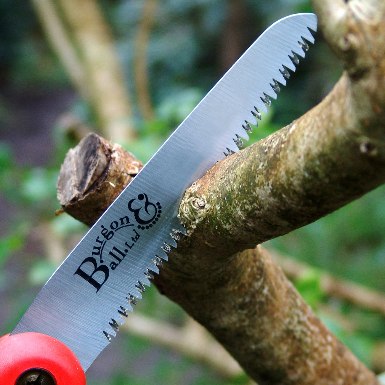 Folding Pruning Saw - RHS Endorsed 3 Folding Pruning Saw - RHS Endorsed - Image 3