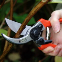 Bypass Secateurs - RHS Endorsed 8 Bypass Secateurs - RHS Endorsed -Household Tools Store GTO SC burgon and ball bypass secateurs 03 bdecb5bd e441 4e6c b4c9 122036d564e5
