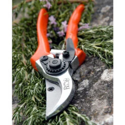 Bypass Secateurs - RHS Endorsed 9 Bypass Secateurs - RHS Endorsed -Household Tools Store GTO SC burgon and ball bypass secateurs 04 f8282be1 1e34 4a38 90b1 036de7ad9ee4