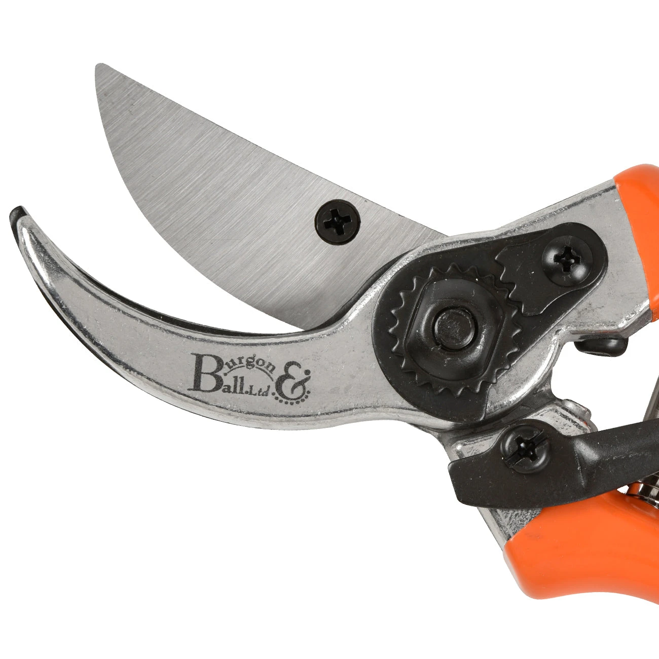 Bypass Secateurs - RHS Endorsed 6 Bypass Secateurs - RHS Endorsed - Image 6