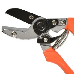 Anvil Secateur - RHS Endorsed 7 Anvil Secateur - RHS Endorsed -Household Tools Store GTO SCA burgon and ball anvil secateurs 04 8cae6df7 9ba4 4f48 9a96 af86108391e8
