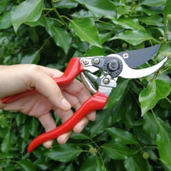 Best Seller -Household Tools Store GTO SCLH burgon and ball left handed bypass secateurs 02