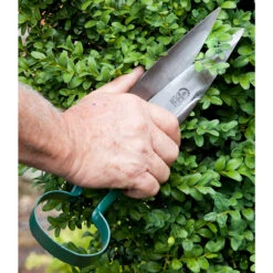 Topiary Trimming Shears - Large 6 Topiary Trimming Shears - Large -Household Tools Store GTS CGGA burgon and ball topiary trimming shears large 03 916bd440 04f3 43fc b699 b7ce0753cf12