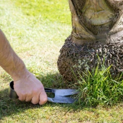 Grass Shear - RHS Endorsed 6 Grass Shear - RHS Endorsed -Household Tools Store GTS GS burgon and ball grass shear 03 3c6b89a2 2dfc 452f 894f 83e70ed03737