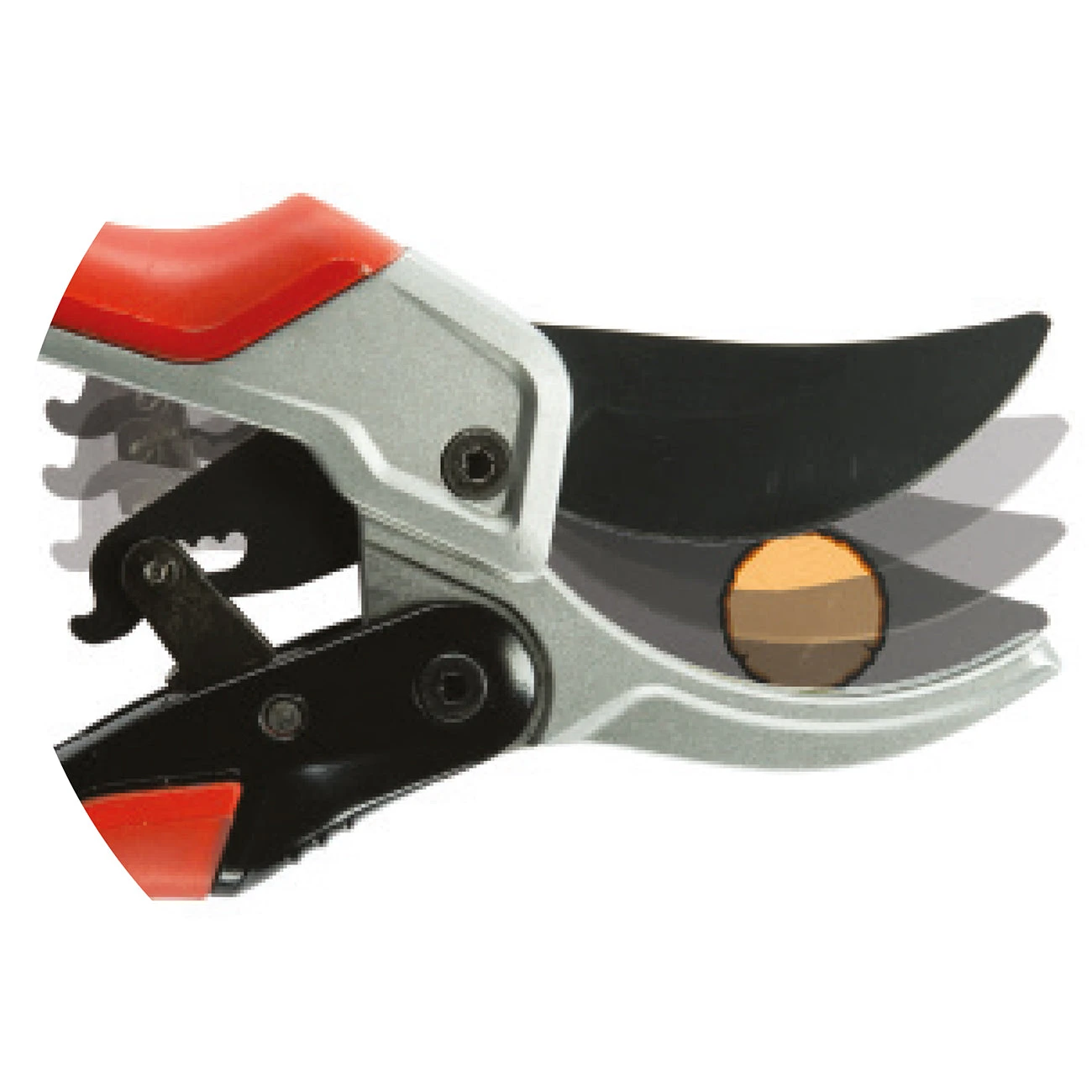 Corona ComfortGEL Ratchet Cut Branch & Stem Pruner 2 Corona ComfortGEL Ratchet Cut Branch & Stem Pruner - Image 2