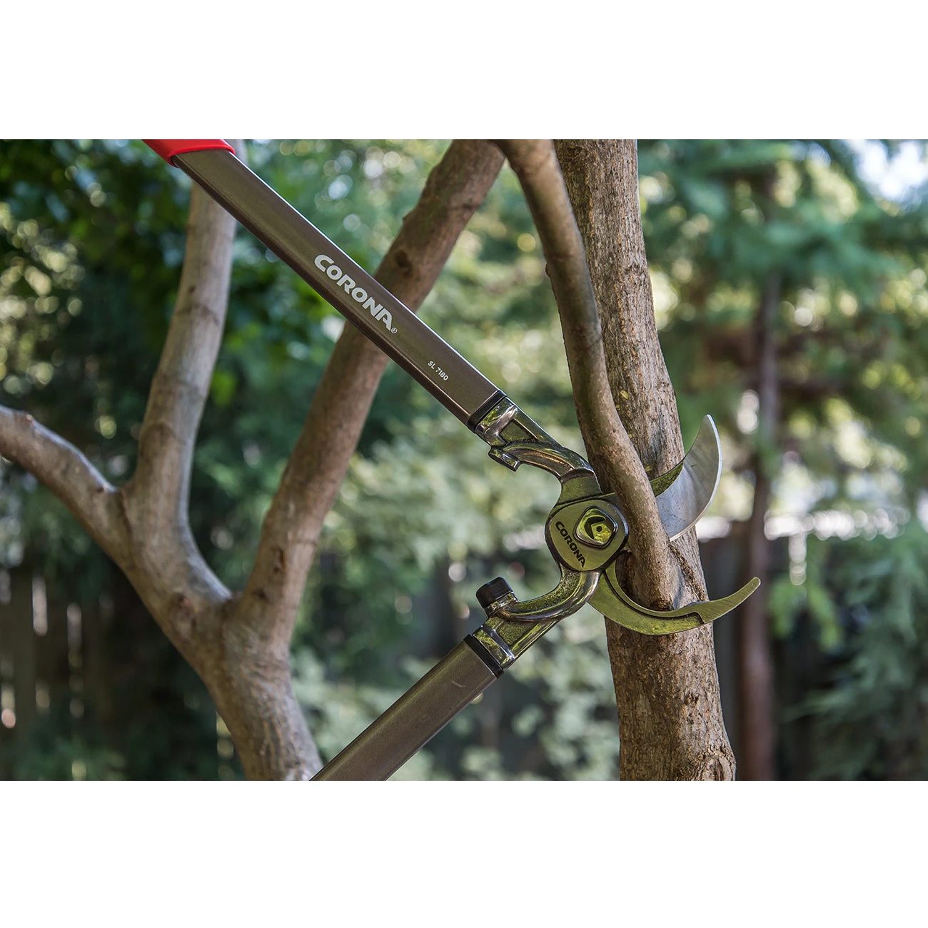 Corona Max Forged DualCUT Limb And Branch Lopper 2 Corona Max Forged DualCUT Limb And Branch Lopper - Image 2