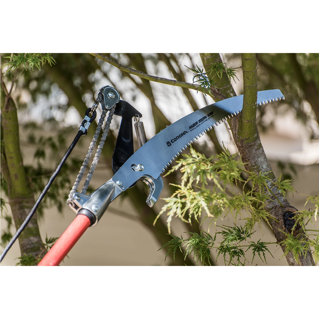 Corona Max Forged RazorTOOTH Extendable Tree Saw And Pruner 3 Corona Max Forged RazorTOOTH Extendable Tree Saw And Pruner - Image 3